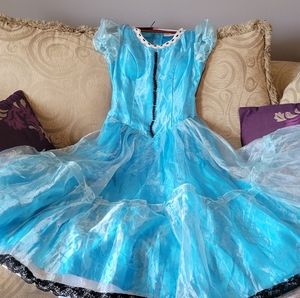 Tim Burton Alice cosplay costume